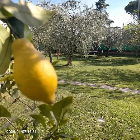 La Magnolia - Frühstückspension *