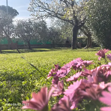 Frühstückspension La Magnolia - *