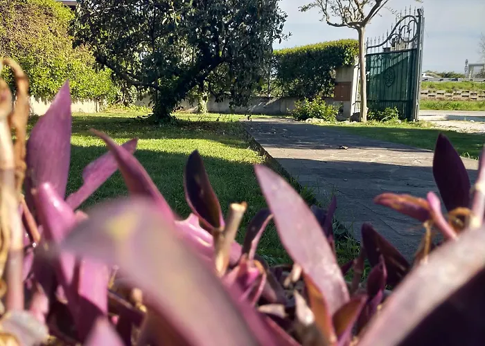 La Magnolia - ファーノ