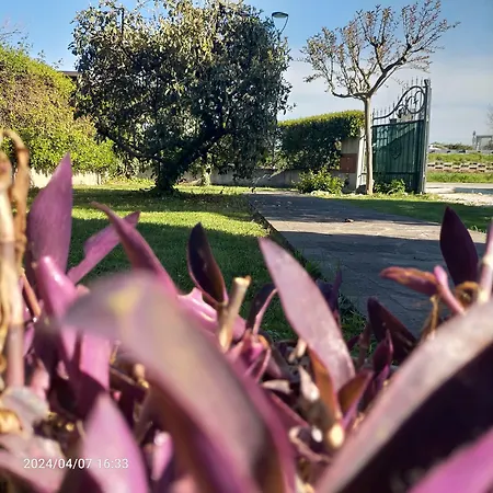 La Magnolia - Fano (Pesaro and Urbino)
