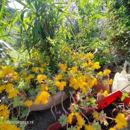 La Magnolia - Nocleg ze śniadaniem Fano