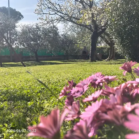 Nocleg ze śniadaniem La Magnolia - 3*