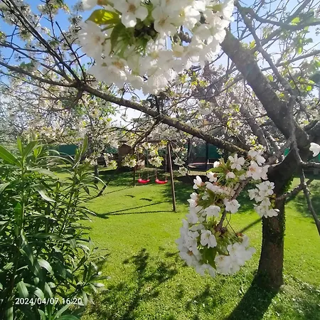 La Magnolia - 3* Fano (Pesaro and Urbino)