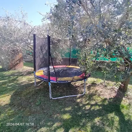 La Magnolia - Fano (Pesaro and Urbino)