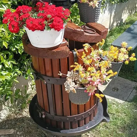 Nocleg ze śniadaniem La Magnolia - 3*