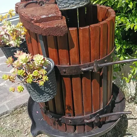 La Magnolia - Panzió Fano