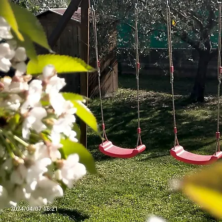 La Magnolia -